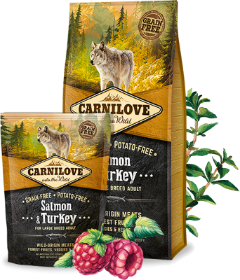 Carnilove Dog Trockenfutter für Hunde Adult Salmon & Turkey – Sparpaket: 2 x 12kg