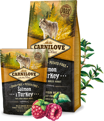 Carnilove Dog Trockenfutter für Hunde Adult Salmon & Turkey-Abo – Sparpaket: 2 x 12kg, Alle 6 Wochen