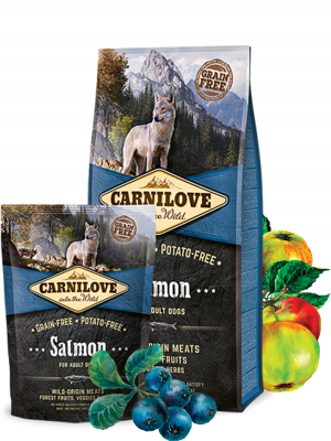 Carnilove Dog Trockenfutter für Hunde Adult Salmon