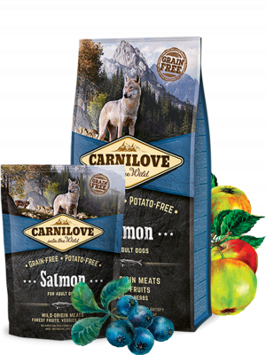 Carnilove Dog Trockenfutter für Hunde Adult Salmon – 12kg