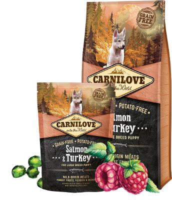 Carnilove Trockenfutter für Hunde Puppy Large Breed - Salmon & Turkey