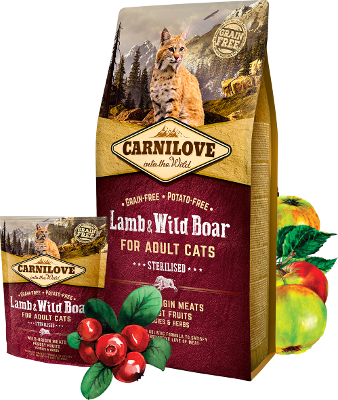 Carnilove Trockenfutter für Katzen Cat Adult – Lamm Wild Boar – 2kg