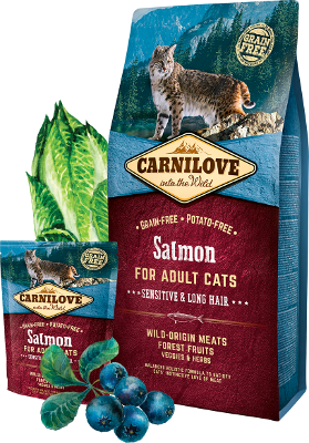 Carnilove Trockenfutter für Katzen Cat Adult – Salmon – Sparpaket: 5 x 2kg