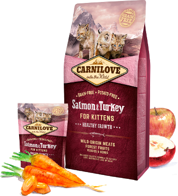 Carnilove Trockenfutter für Katzen Cat Kitten Salmon & Turkey – Sparpaket: 3 x 6kg