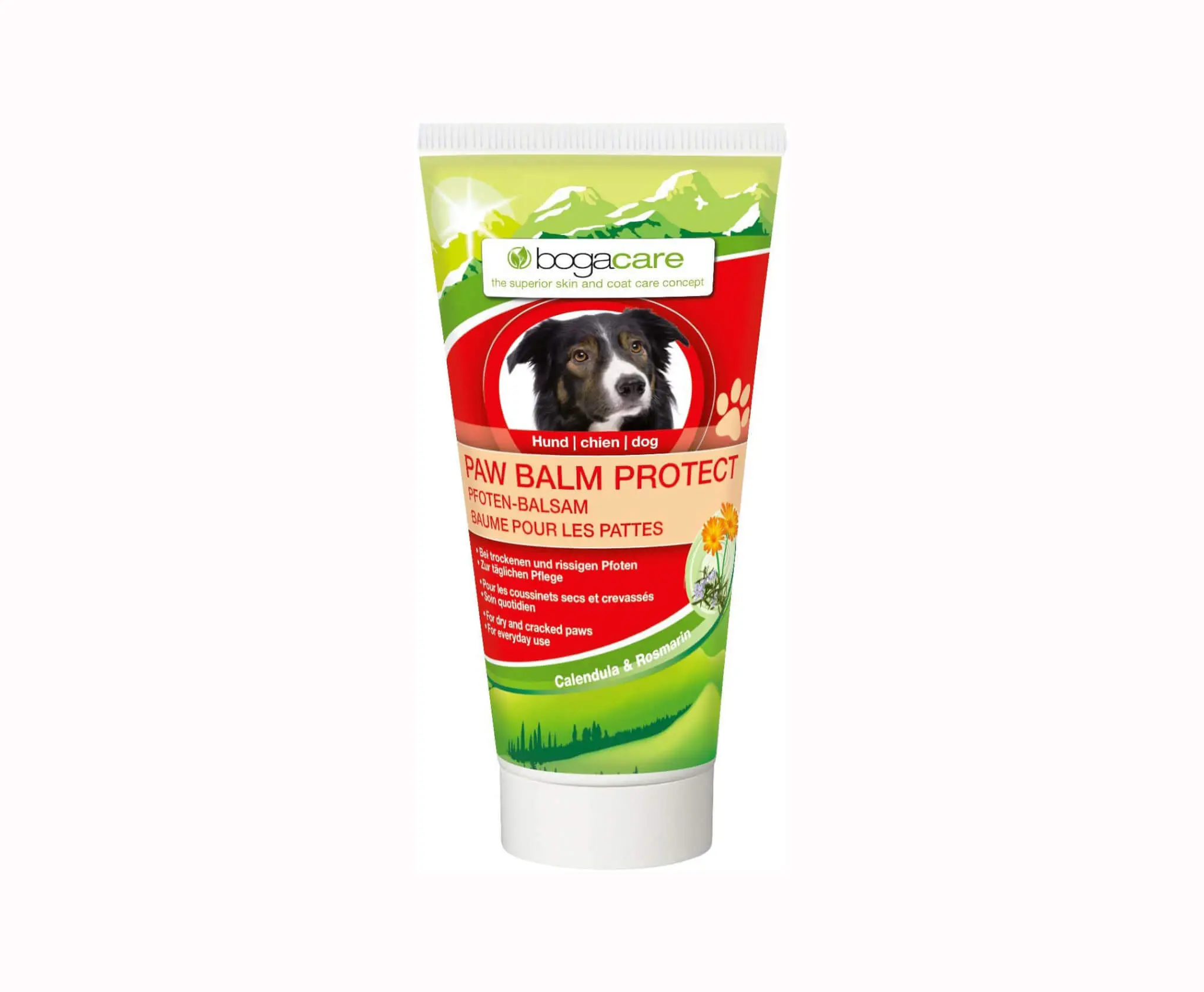 Bogar Pfelge für Hunde - Haut und Fell pflege Bogacare PAW BALM PROTECT