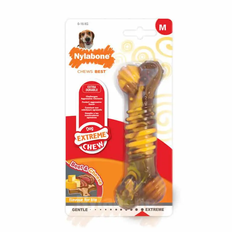 Nylabone Extreme Chew Texture Bone Beef & Cheese - Medium