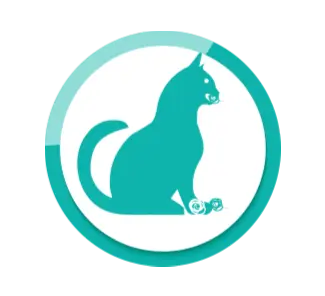 Katze