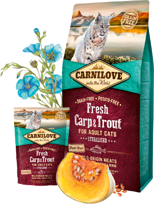 Carnilove Cat Trockenfutter für Katzen Adult Fresh – Carp & Trout – 400g