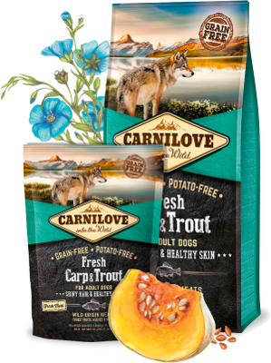 Carnilove Dog Trockenfutter für Hunde Adult Fresh- Carp & Trout