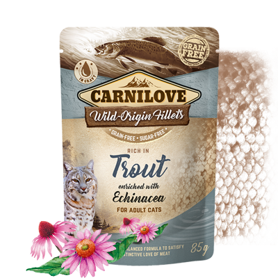 Carnilove Nassfutter für Katze Rich in Trout enriched with Echinacea – Sparpaket: 24 x 85g