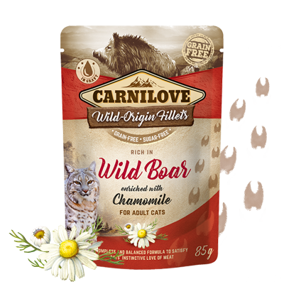 Carnilove Nassfutter für Katze Rich in Wild Boar enriched with Chamomile 85g