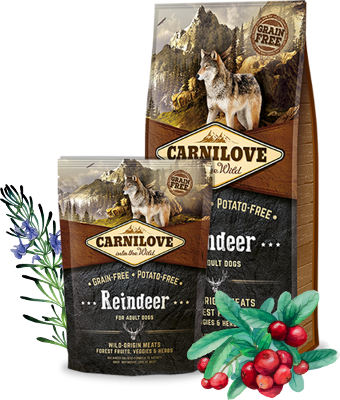 Carnilove Dog Trockenfutter für Hunde-Adult Reinder – Sparpaket: 2 x 12kg