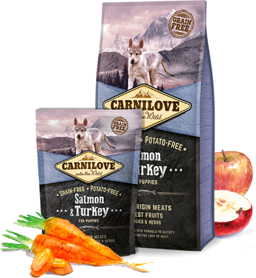 Carnilove Dog Trockenfutter für Hunde Salmon & Turkey for puppies