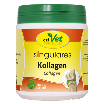 Singulares Kollagen