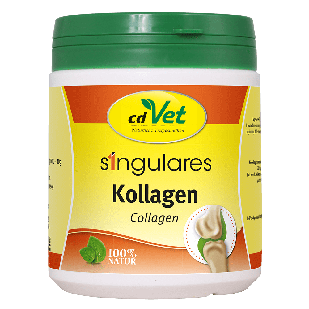 Singulares Kollagen