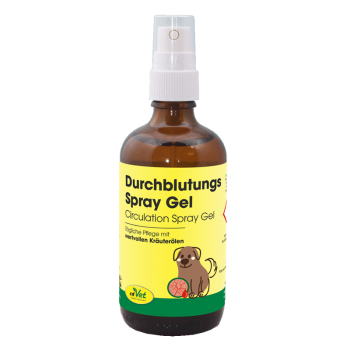Durchblutungs Spray Gel 100 ml